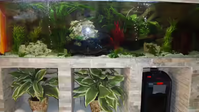 Becken 23306 von Stefan Hülsmann