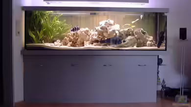 Becken 234 von Frank Sanné