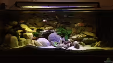 Becken 23671 von Alexander Leixner