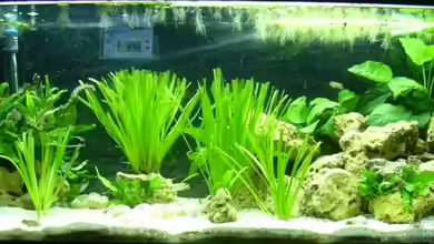 Becken 2393 von Eike Schulz