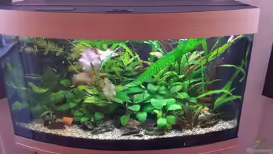 Becken 24155 von Jens Holzner