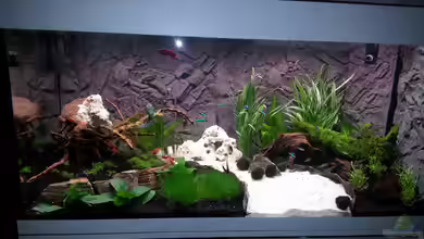 Becken 24797 von aquaking