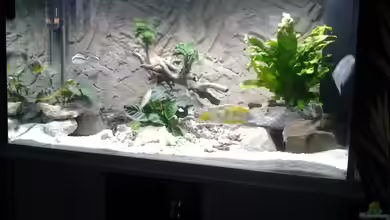 Becken 25097 von Frank Lefers