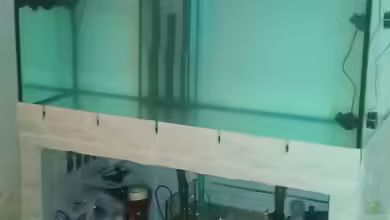 Becken 25171 von Dirk Müller