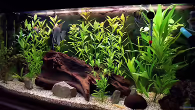 Becken 2539 von Roman Eiper