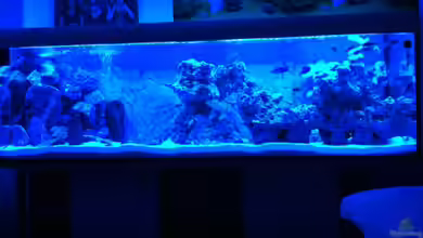 Becken 25658 von neues becken 720 l