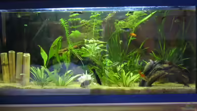 Becken 2575 von Dennis Höhnisch