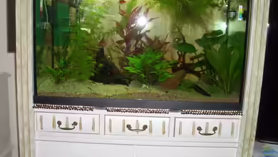 Becken 25876 von susanne8