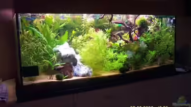 Becken 2614 von Mathias John