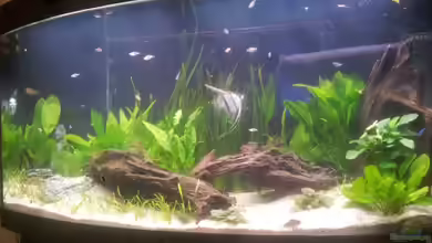 Becken 26431 von Jan Bellwinkel