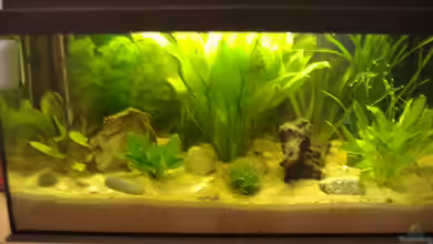 Becken 2654 von Andreas Lustenberger