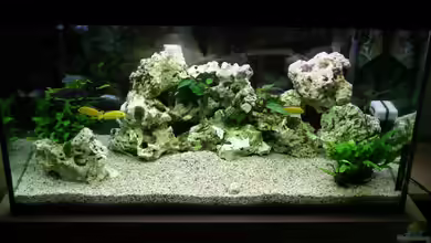 Becken 2677 von Jonas Hegemann