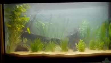 Becken 2709 von Oliver Huch