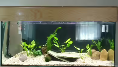 Becken 27229 von Christian Kleinhenz