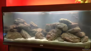 Becken 27293 von Baryo