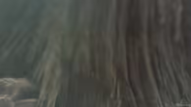 Becken 27461 von Hardy