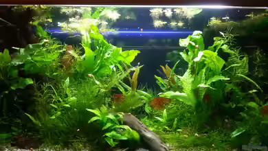 Becken 27590 von Melanie