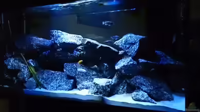 Becken 28016 von Florian Suft