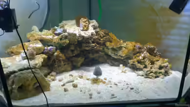 Becken 28039 von Freakesoit