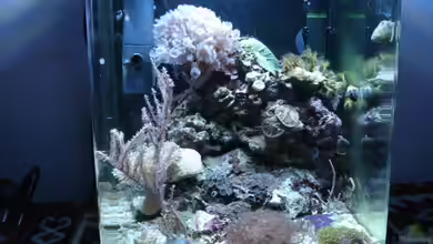 Becken 28227 von hej kompisar