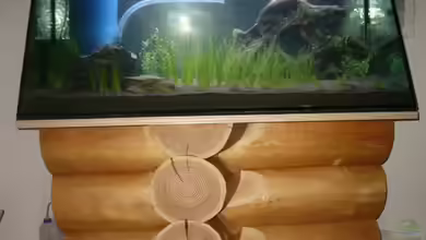 Becken 2862 von Oliver Gursky