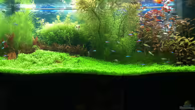 Becken 28629 von Terence Hill