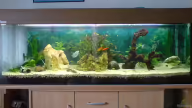 Becken 2863 von Sascha Klumb