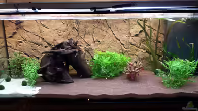 Becken 28743 von Christian Lösel