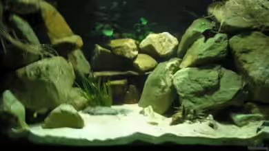 Becken 2888 von Buschmeier Marcel