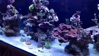 Becken 28910 von Sven Alt