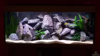 Becken 2895 von Andreas Jüngling