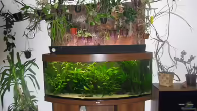 Becken 28975 von Steffen Fiedler