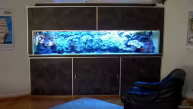 Becken 2922 von Andreas Grycko