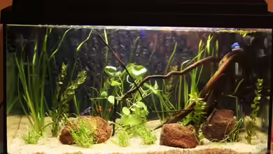 Becken 2973 von flameONE