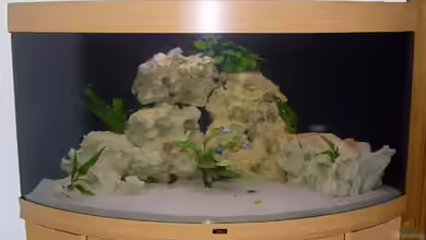 Becken 298 von Markus Baitinger