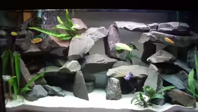 Becken 3005 von Tobias Kluge