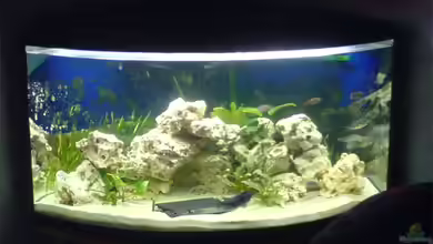 Becken 3024 von Dominik Geissert