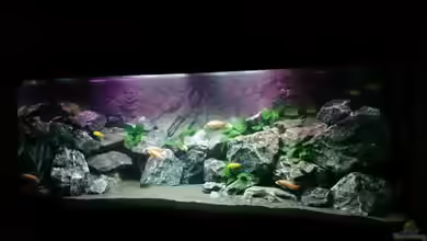 Becken 30371 von Philipp Wenzel