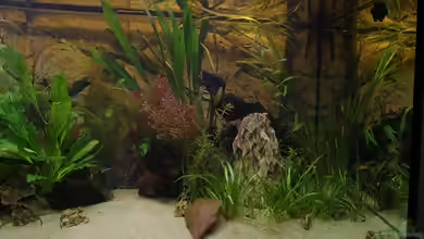 Becken 30852 von Nobody