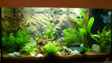 Becken 30874 von ATinUN