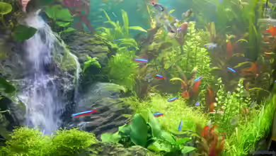 Becken 30905 von Stefan Nibel