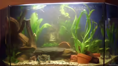 Becken 3098 von Tamara Brunner