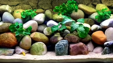 Becken 3103 von Steffen Haß