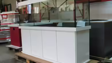 Becken 31105 von delphin