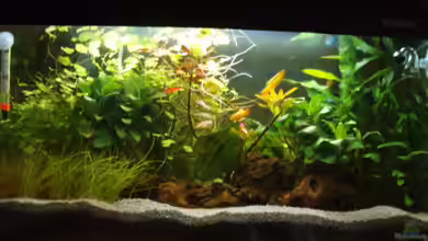 Becken 3114 von Viktoria Bock