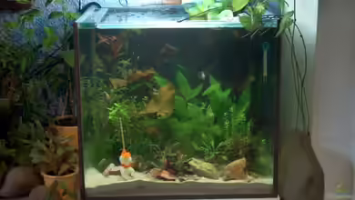 Becken 3118 von Fabian Eckel