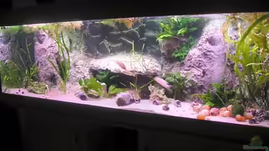 Becken 3140 von Oezlem Oektem