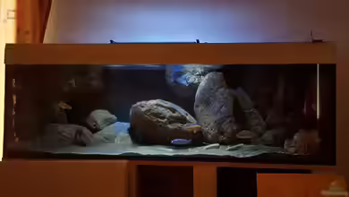 Becken 31530 von Simon Maurer