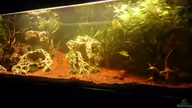 Becken 32009 von Mano