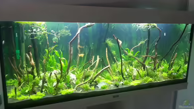 Becken 32118 von Mirakulix89